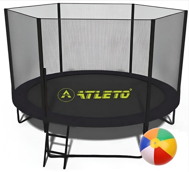 Батут з сіткою та драбинкою 312 см Atleto Black